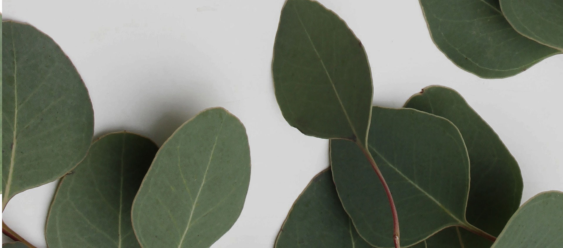 Взыскание ущерба от экологических правонарушений в Белой Калитве